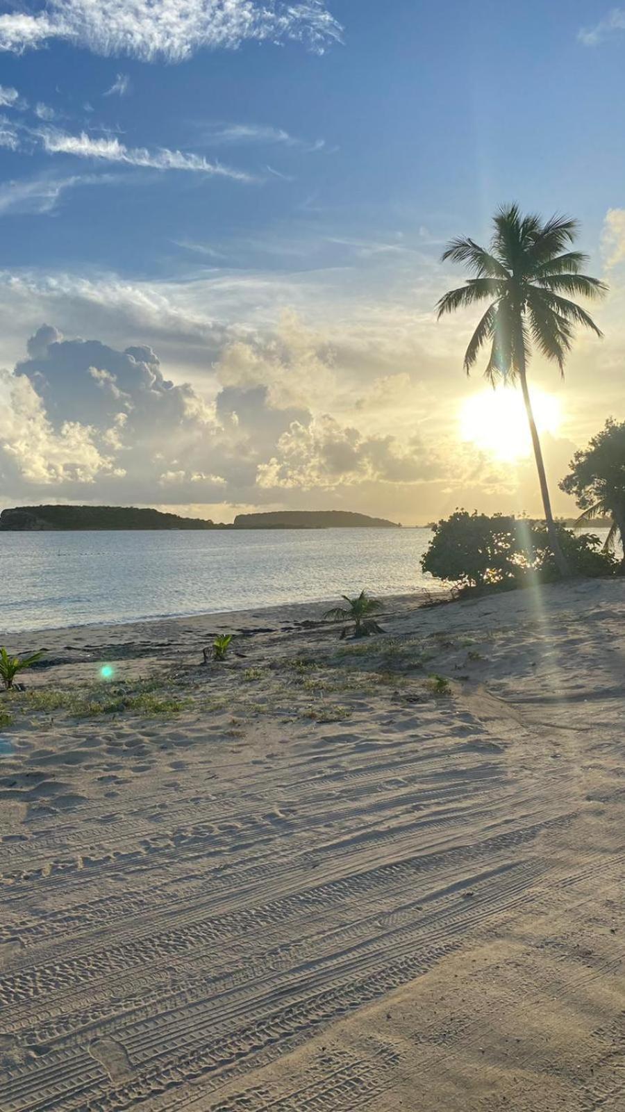 Casa Costa Sur Lejlighed Vieques Eksteriør billede
